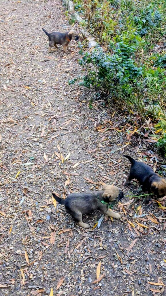 PXL 20251028 144905525 exported 129614~2