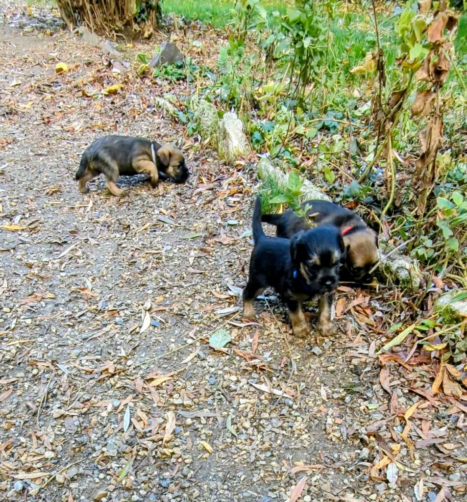 PXL 20251028 144905525 exported 2049~2