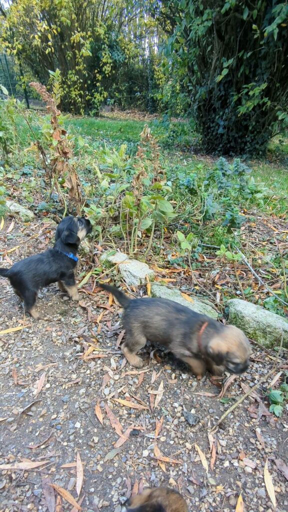 PXL 20251028 144905525 exported 45983