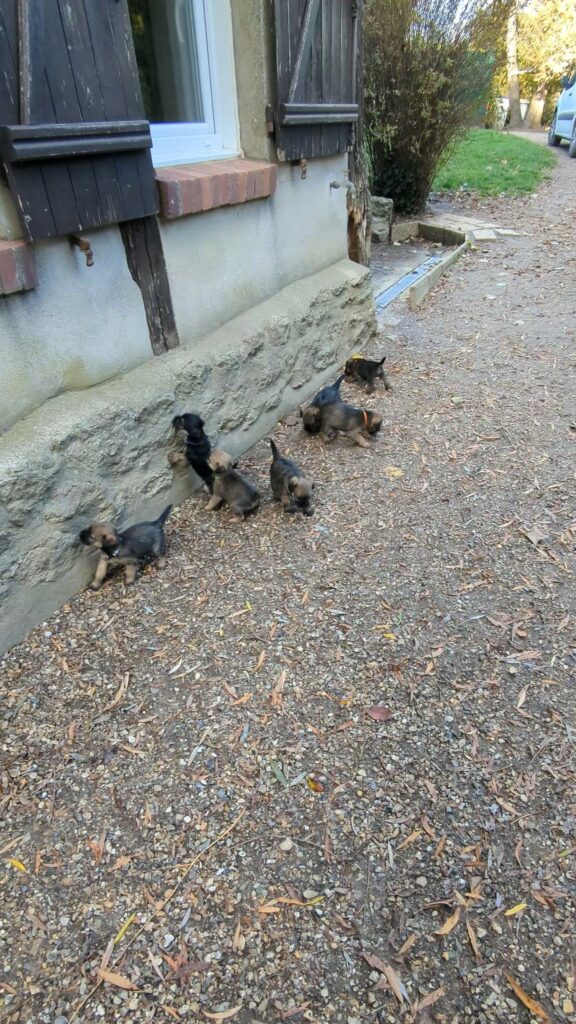 PXL 20251028 144905525 exported 90508