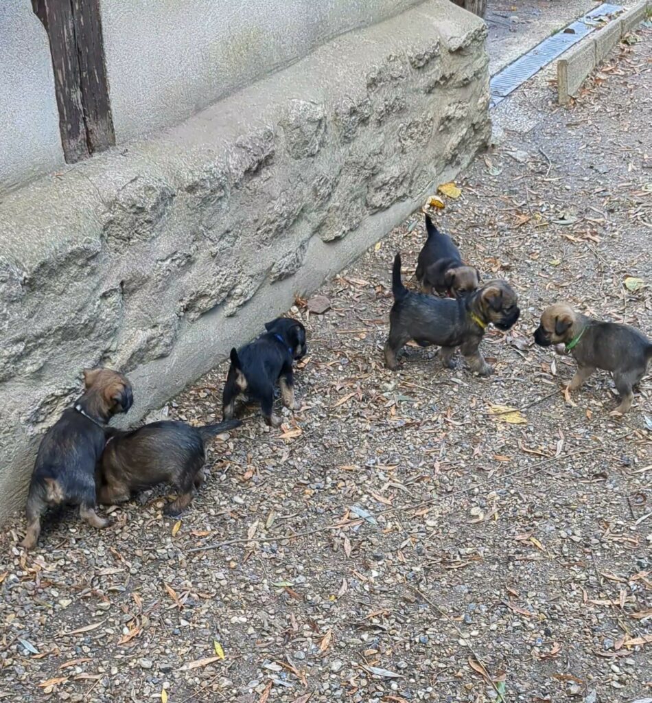 PXL 20251028 144905525 exported 97612