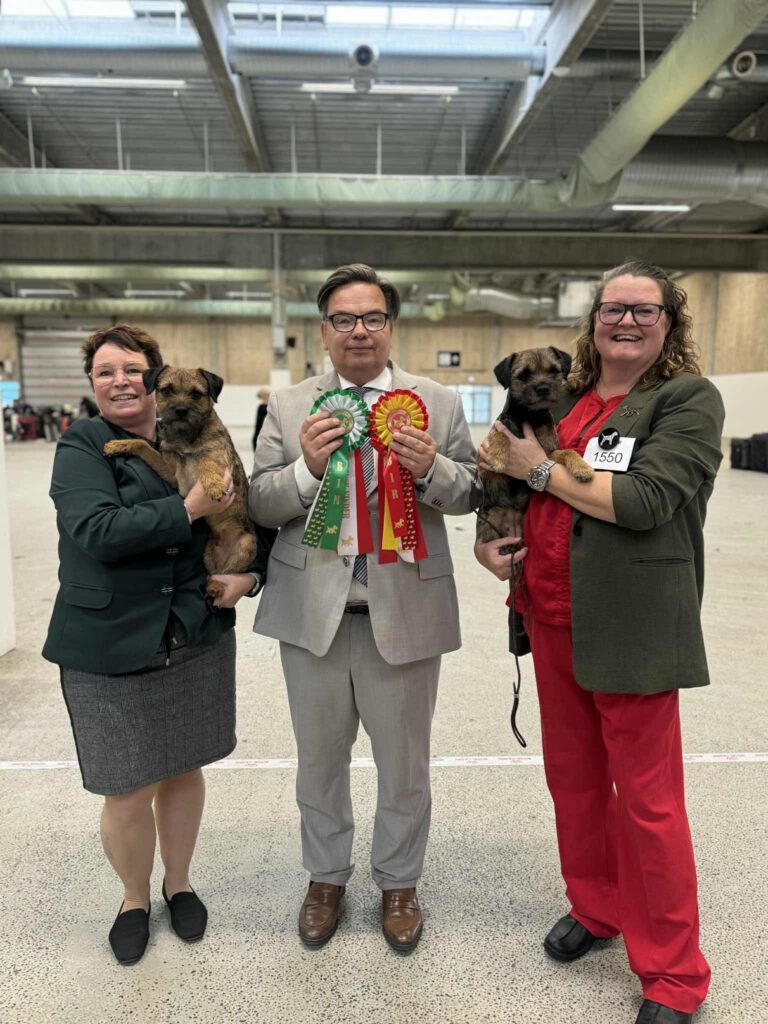 FB IMG 1763145748261