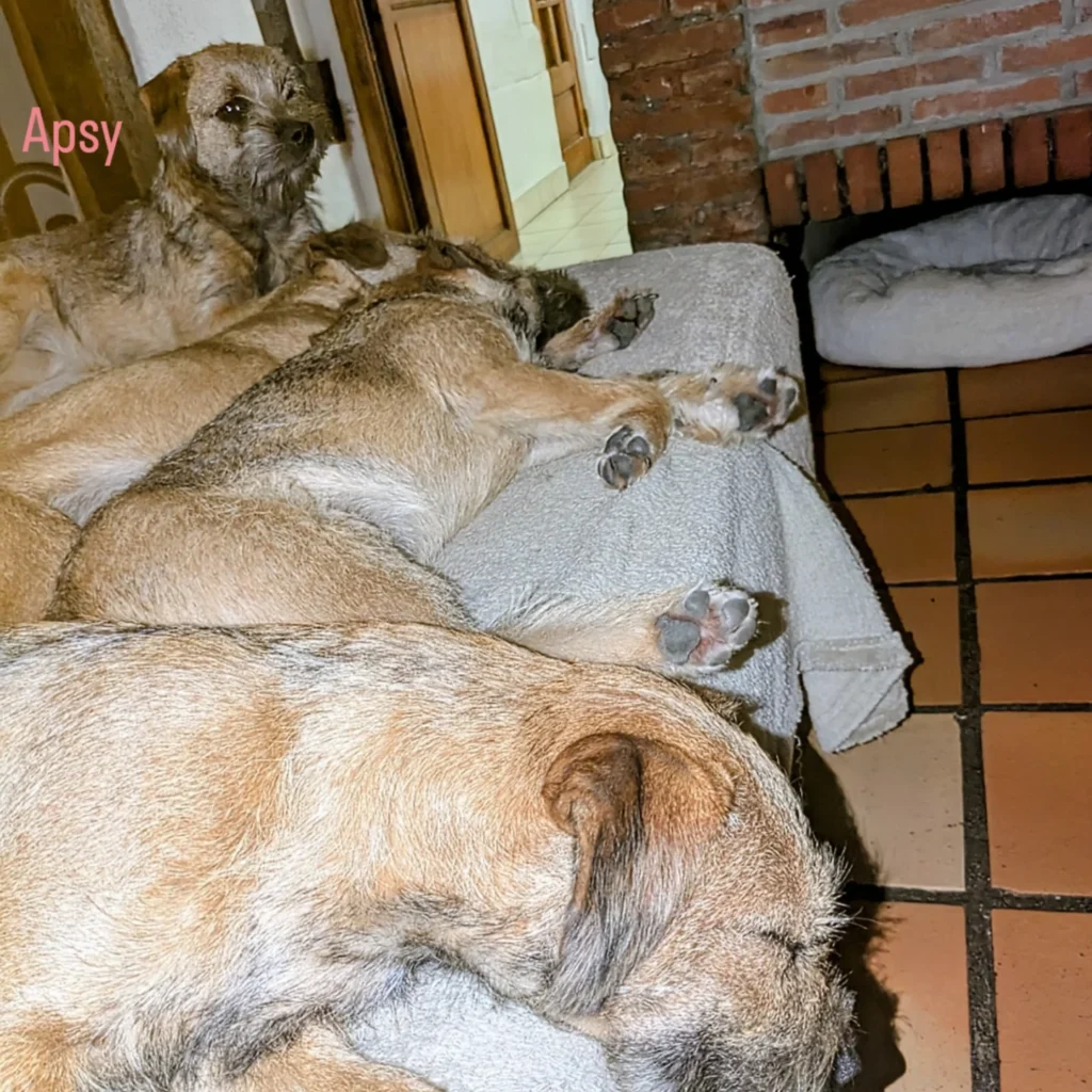 IMG 20251014 214440 820