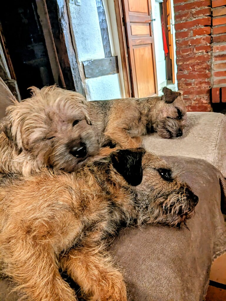 PXL 20250412 185328240.NIGHT~5