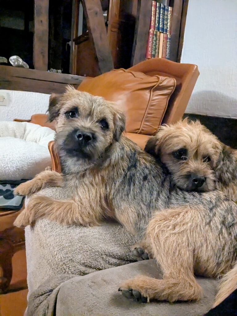 PXL 20250419 192917814.MP~2