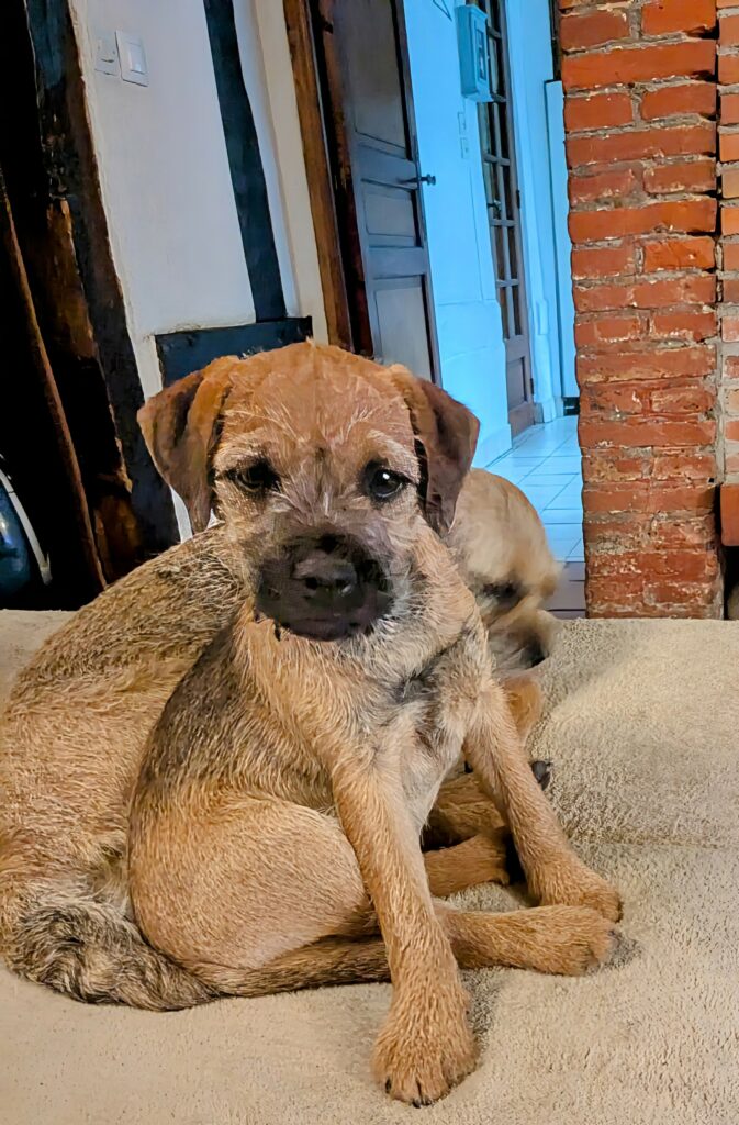 PXL 20250607 191749664.NIGHT~4