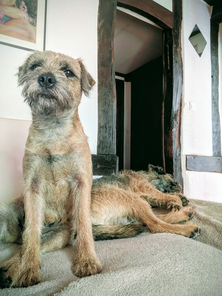 PXL 20250914 124910332.NIGHT~2