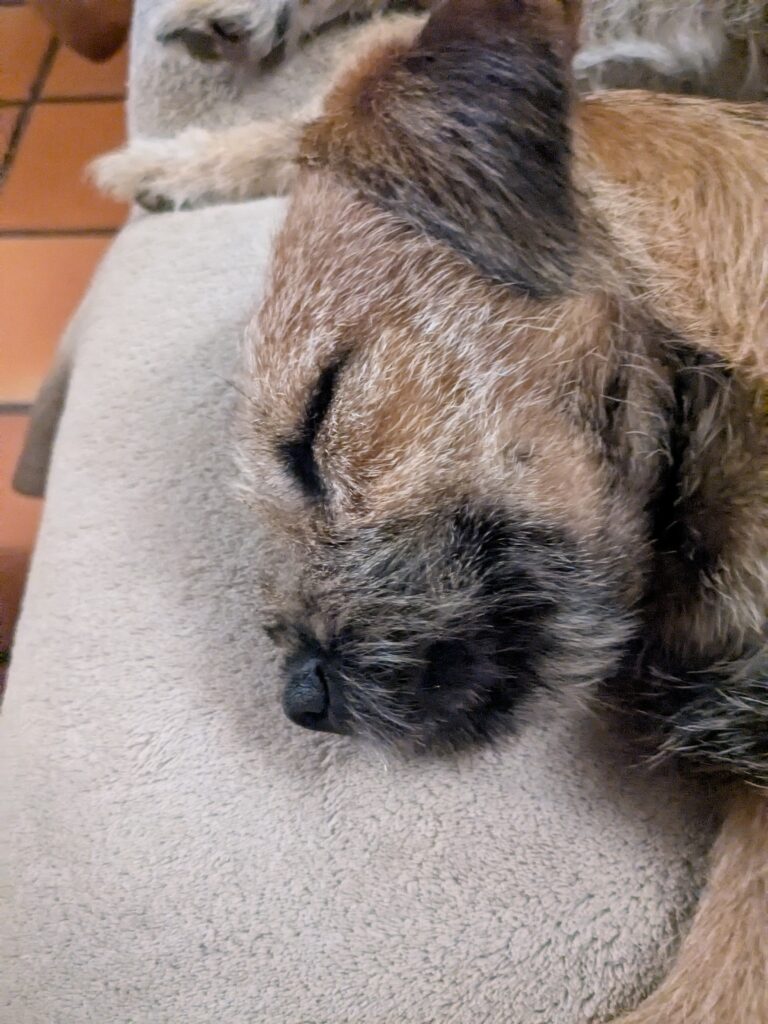 PXL 20250917 193433583