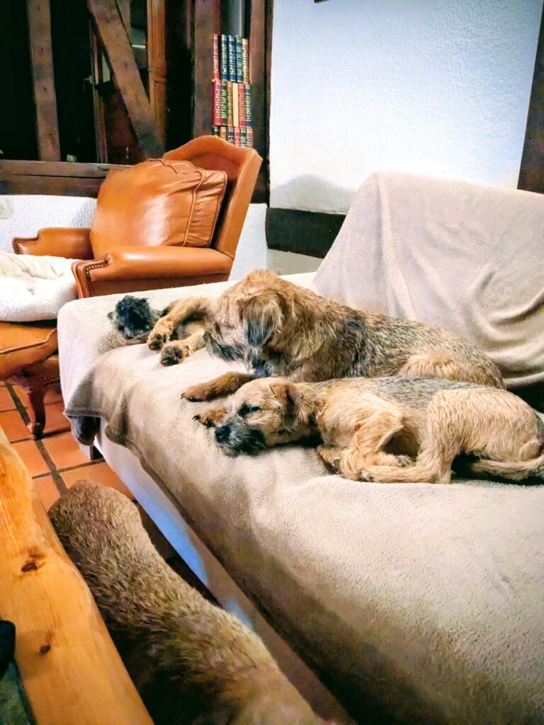 PXL 20250927 191142240~2