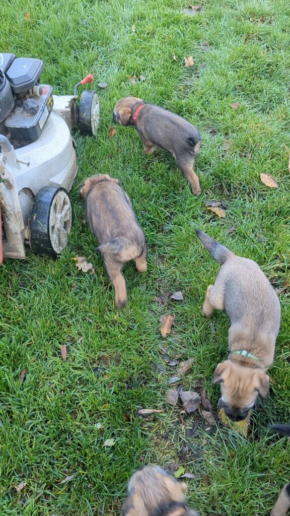 PXL 20251117 145812197 exported 0