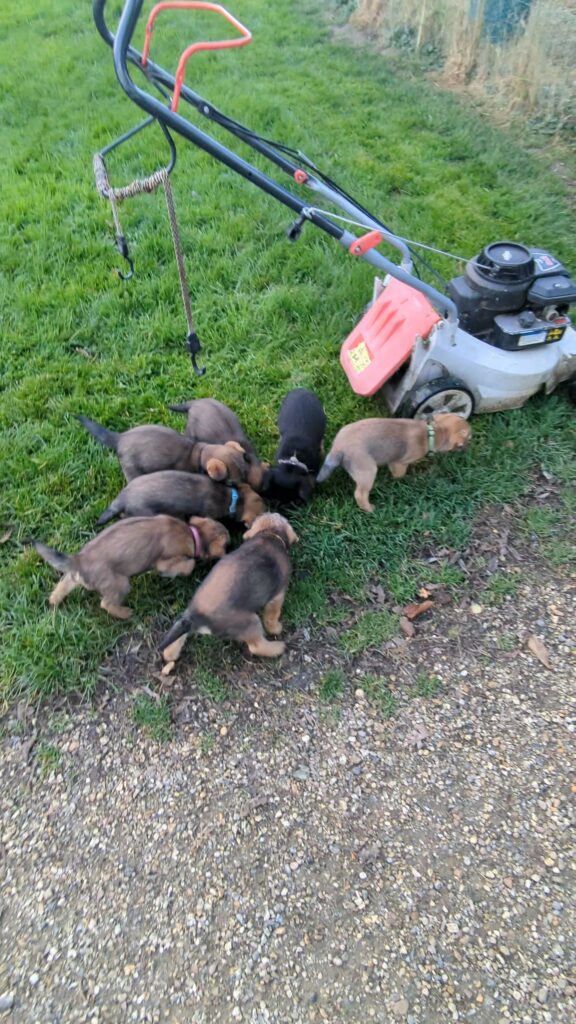 PXL 20251117 145812197 exported 140104