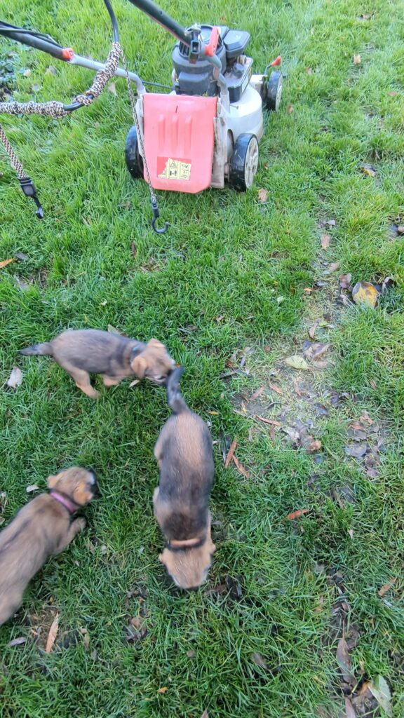 PXL 20251117 145812197 exported 15298