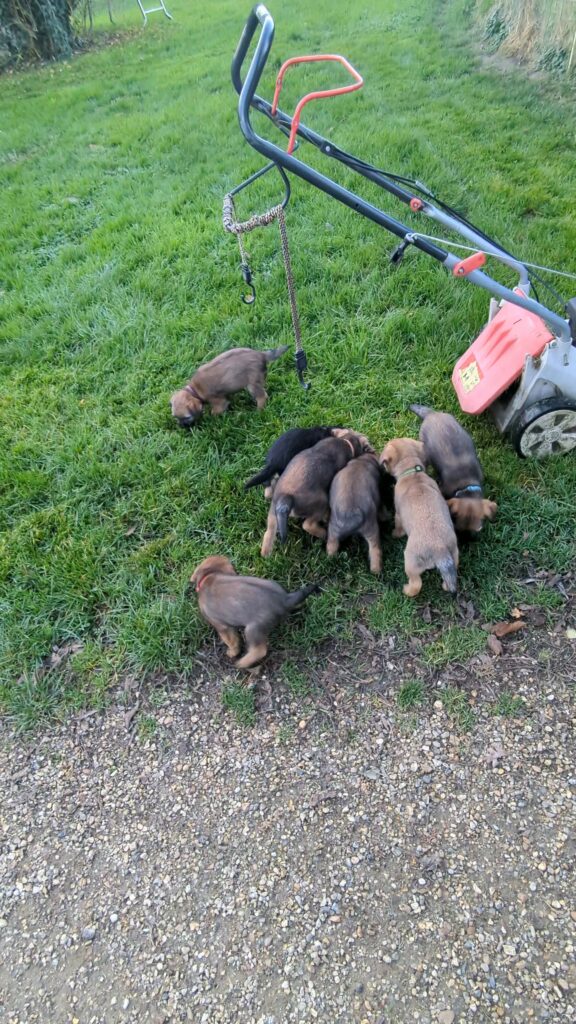 PXL 20251117 145812197 exported 159219