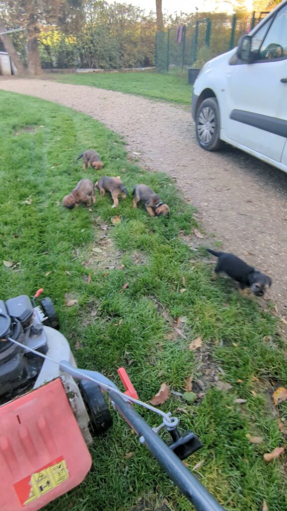 PXL 20251117 145812197 exported 76296