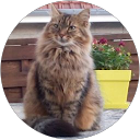 Elise H. profile picture