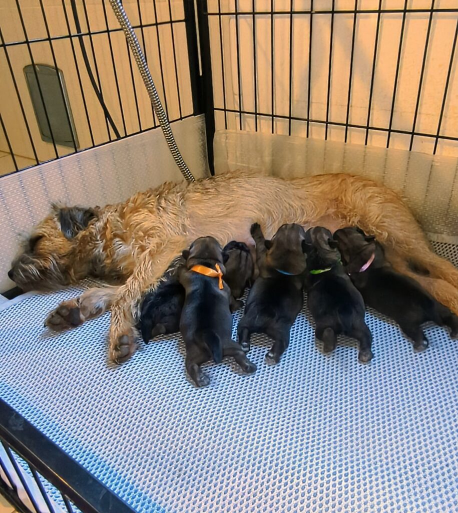 PXL 20251226 114417848 exported 35746~2