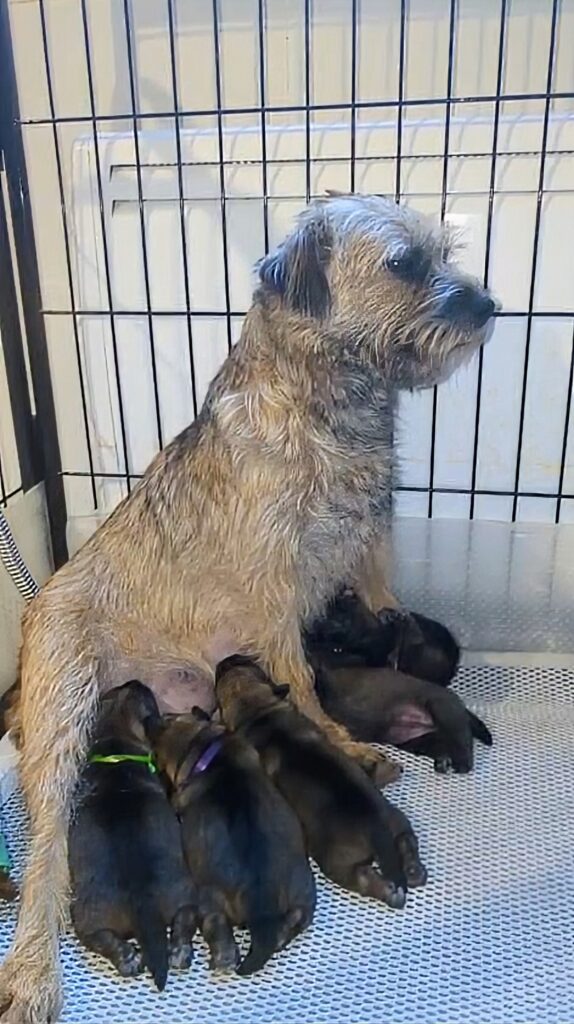 Screenshot 20251227 152839~2