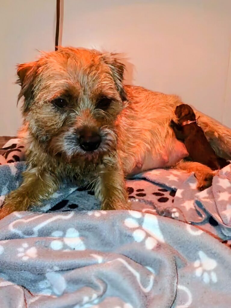 VID 20251222 144337 067 exported 0~2