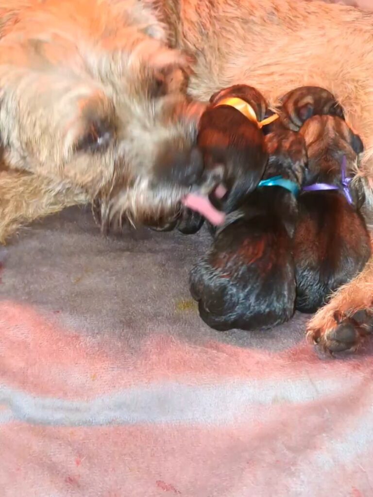 VID 20251222 144616 934 exported 1003