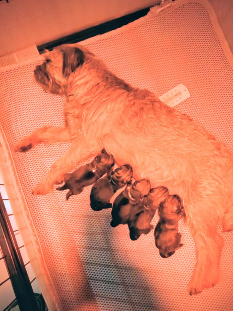 VID 20251222 144642 017 exported 0 (1)~2