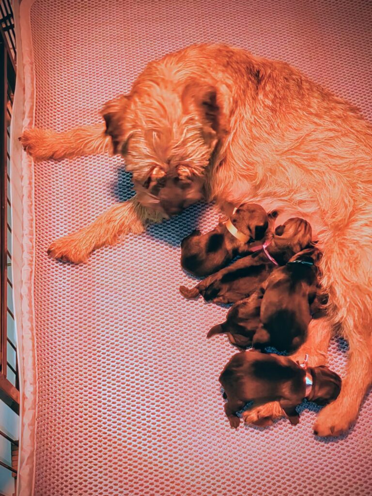 VID 20251222 144708 216 exported 8771~2