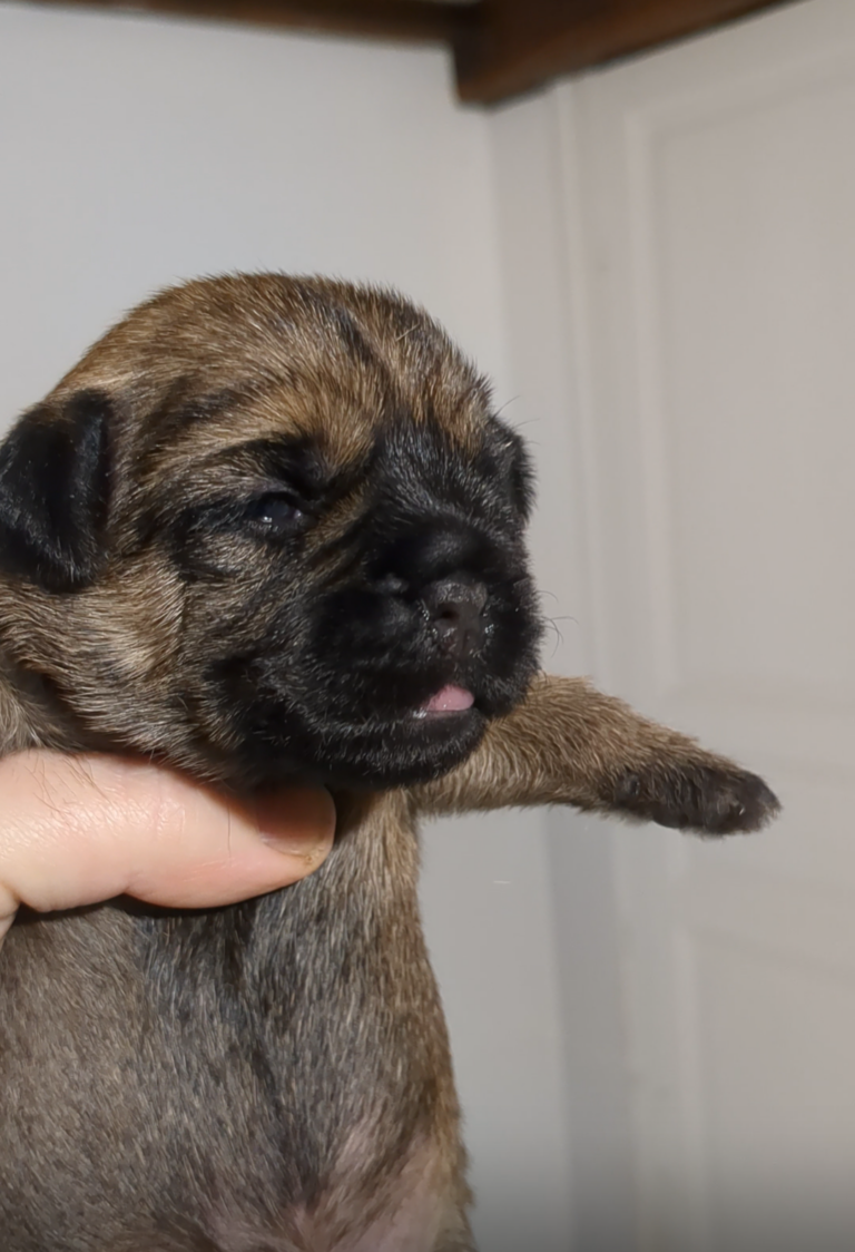 Screenshot 20260104 071414