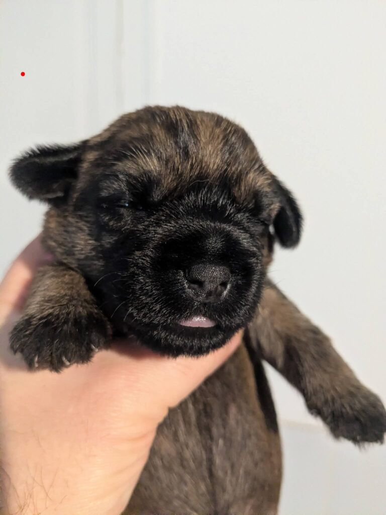 FB IMG 1771053844247