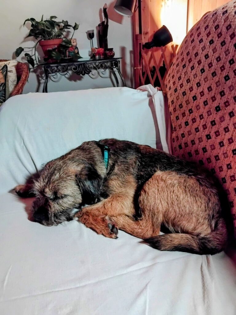 IMG 20260225 WA0017~2