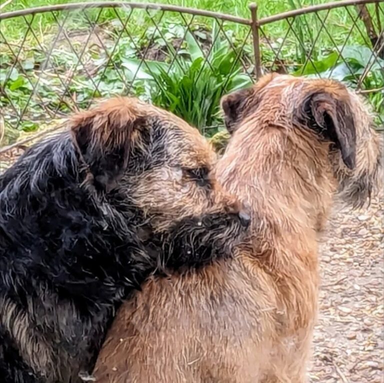 Screenshot 20260323 193021~2